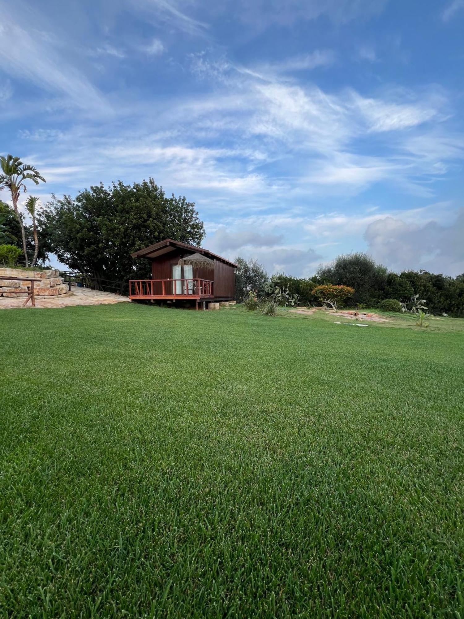 Quinta Saleiro Guesthouse 오양 외부 사진